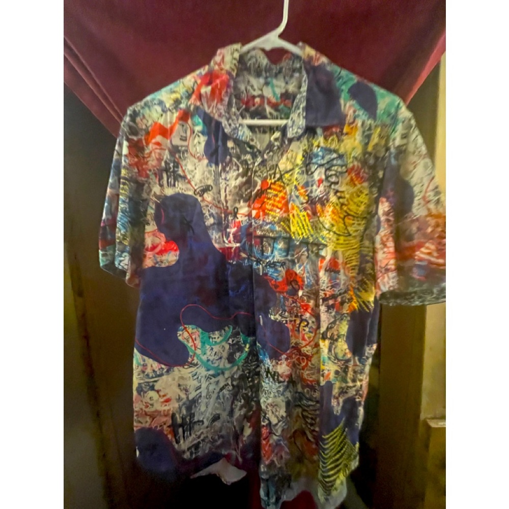 Men’s size Large Casual Buttondown - Robert Graham